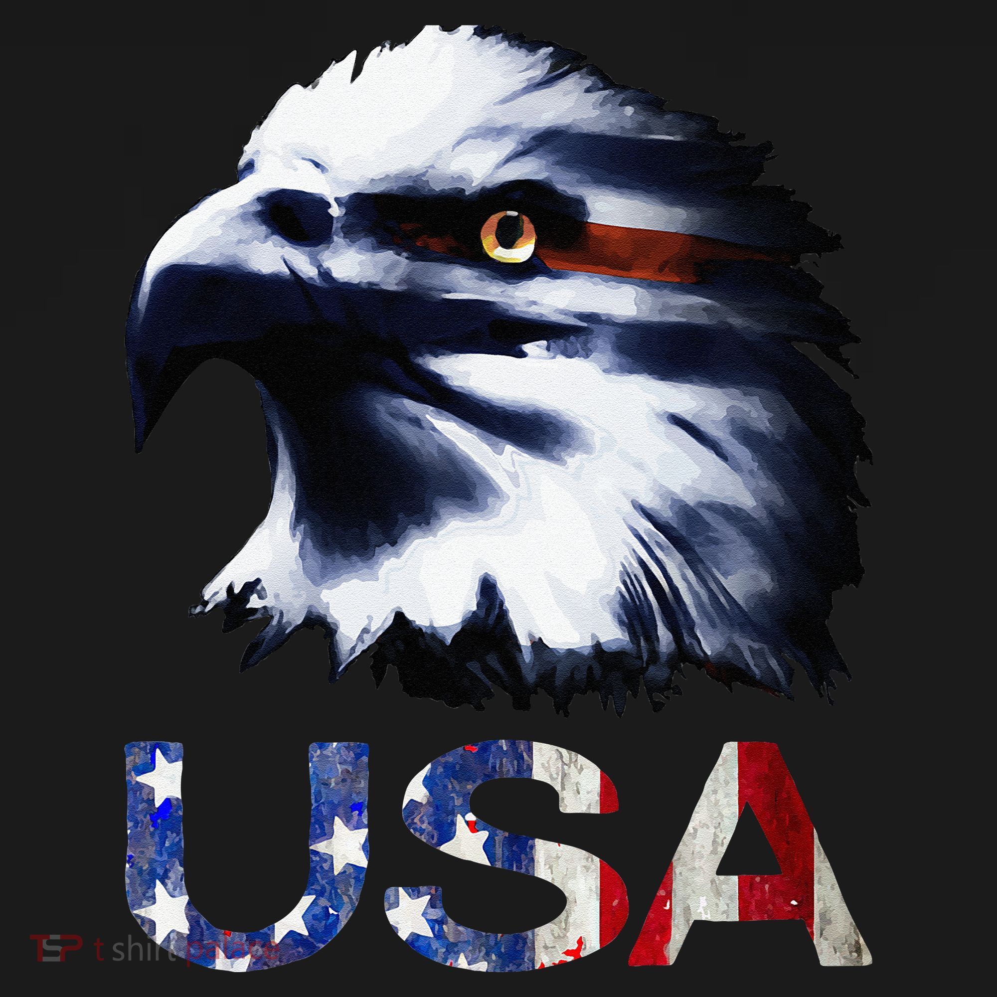 USA Patriotic Eagle Head 4th Of July Independence Day Women's Hoodie