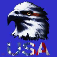 USA Patriotic Eagle Head 4th Of July Independence Day Sweatshirt thumb 3