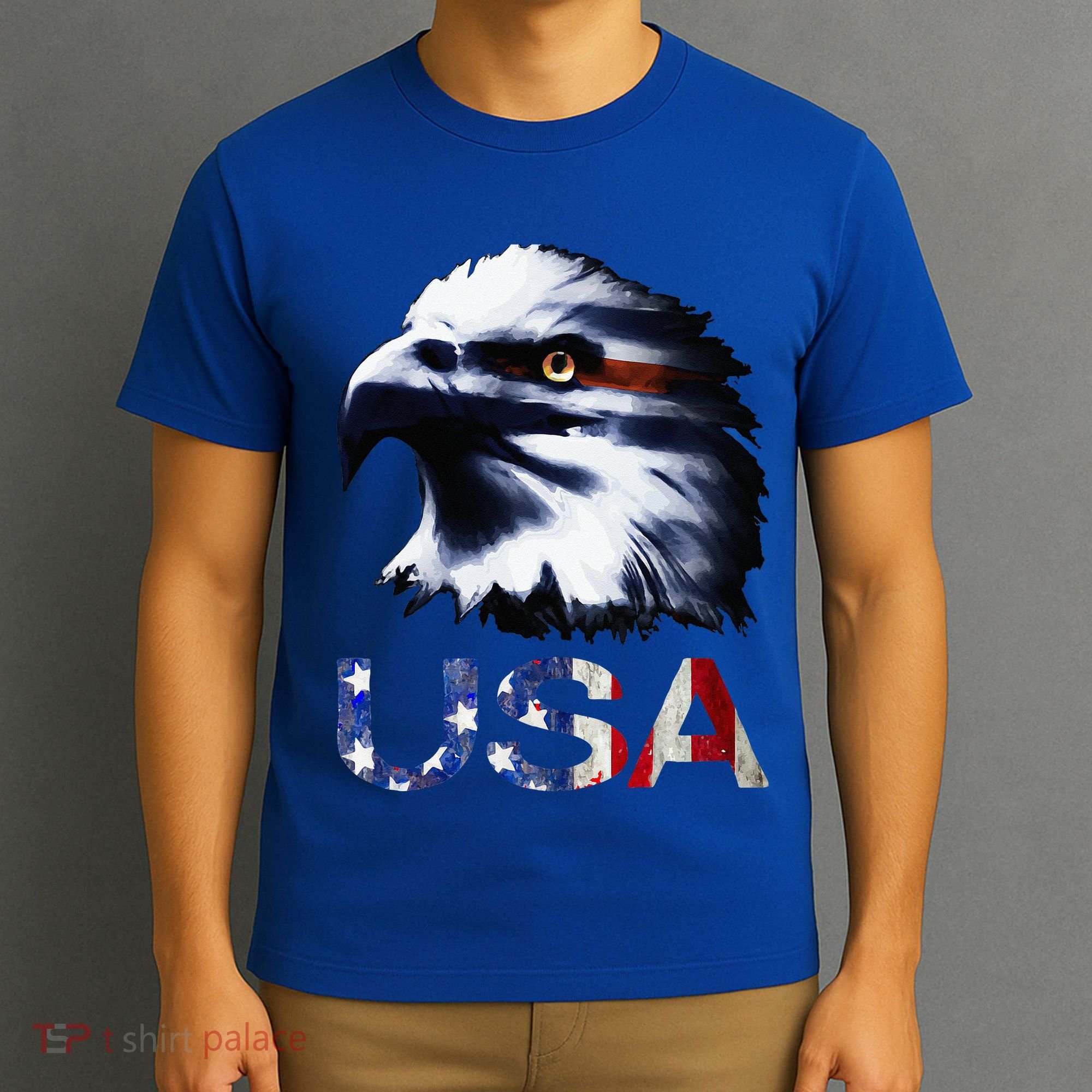 USA Patriotic Eagle Head 4th Of July Independence Day T-Shirt