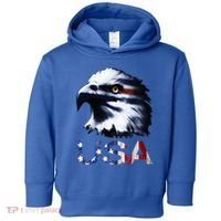 USA Patriotic Eagle Head 4th Of July Independence Day Toddler Hoodie thumb 0