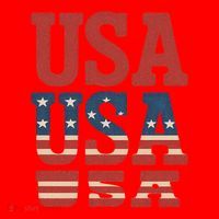 USA Patriotic Print Santa Hat thumb 1