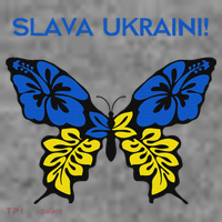 Ukraine Resilience Freedom & Strength Stand With Ukraine Toddler Hoodie thumb 2