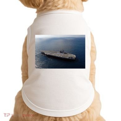 Uss Ronald Reagan Doggie Tank