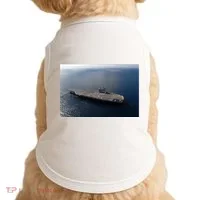 Uss Ronald Reagan Doggie Tank thumb 0