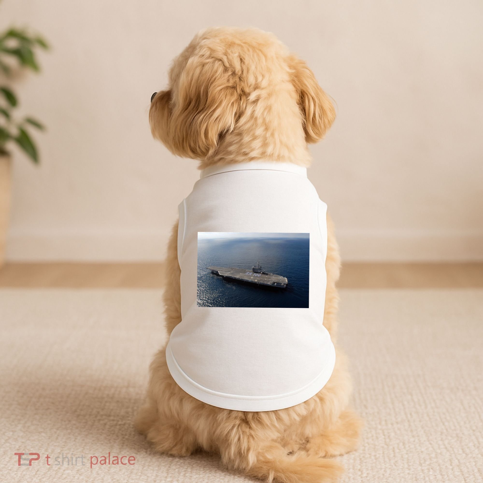 Uss Ronald Reagan Doggie Tank