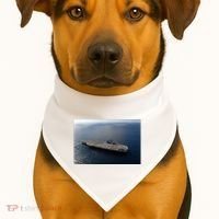 Uss Ronald Reagan USA-Made Doggie Bandana thumb 1