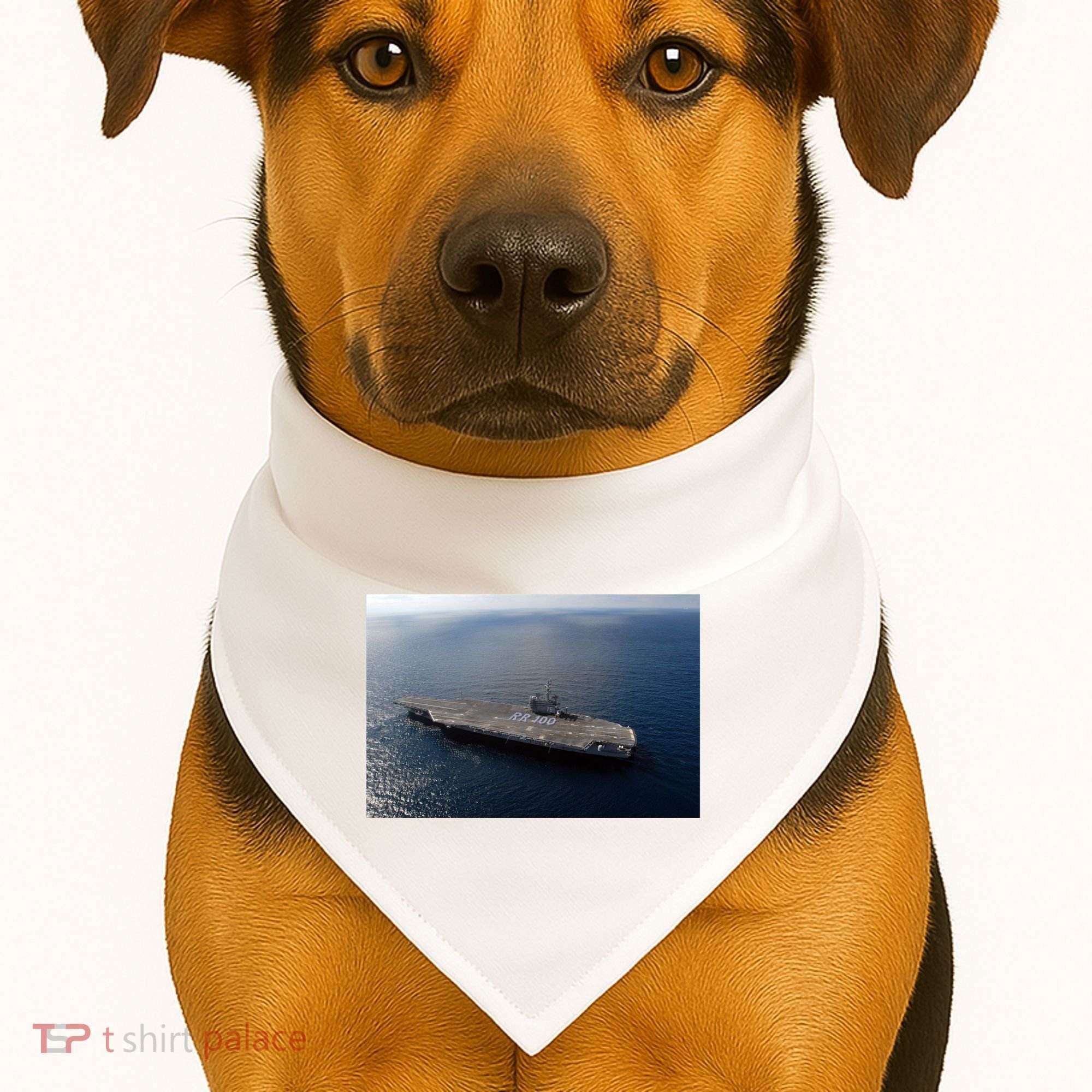 Uss Ronald Reagan USA-Made Doggie Bandana
