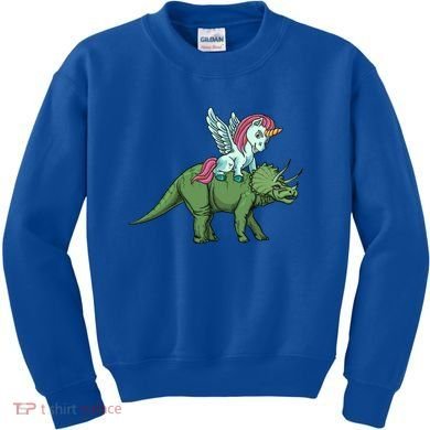 Unicorn Riding Triceratops Funny Dinosaurs Cool Gift Kids Sweatshirt