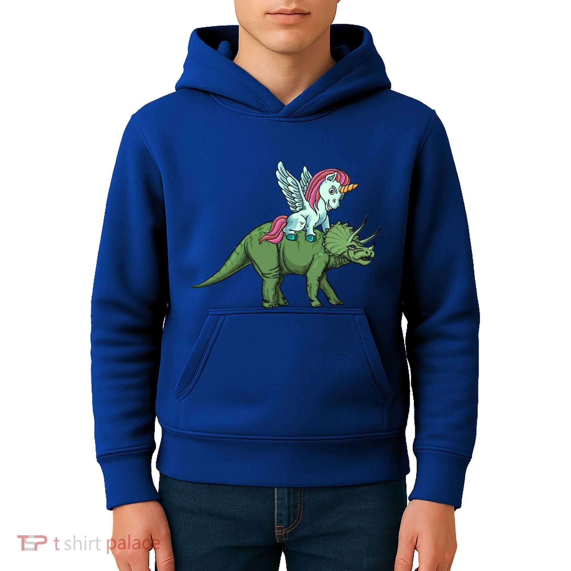 Unicorn Riding Triceratops Funny Dinosaurs Cool Gift Kids Hoodie