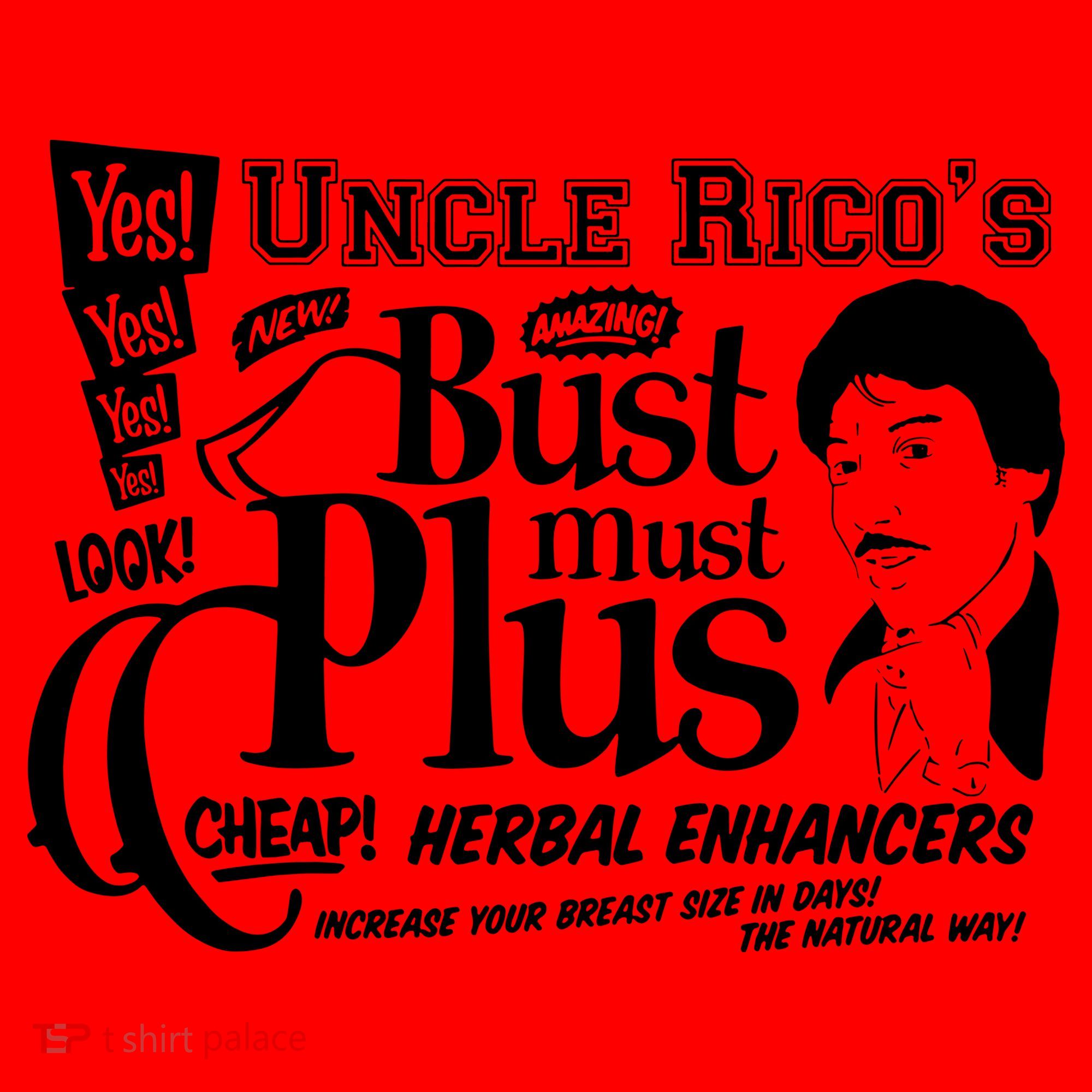 Uncle Rico Vote For Pedro Napoleon Santa Hat