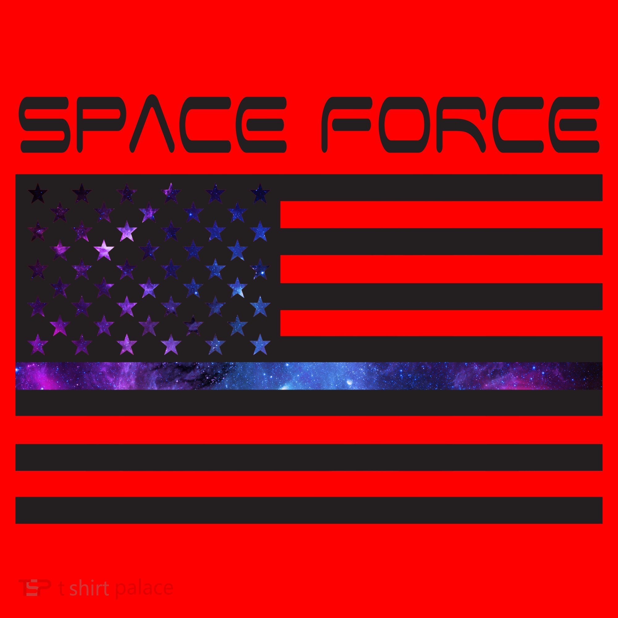 US Space Force Flag Santa Hat