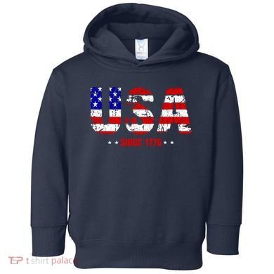 Usa Since 1776 Toddler Hoodie