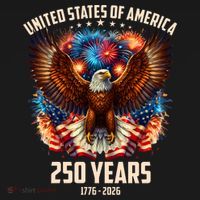 United States 250 Years 1776-2026  Fireworks Eagle Hoodie thumb 7
