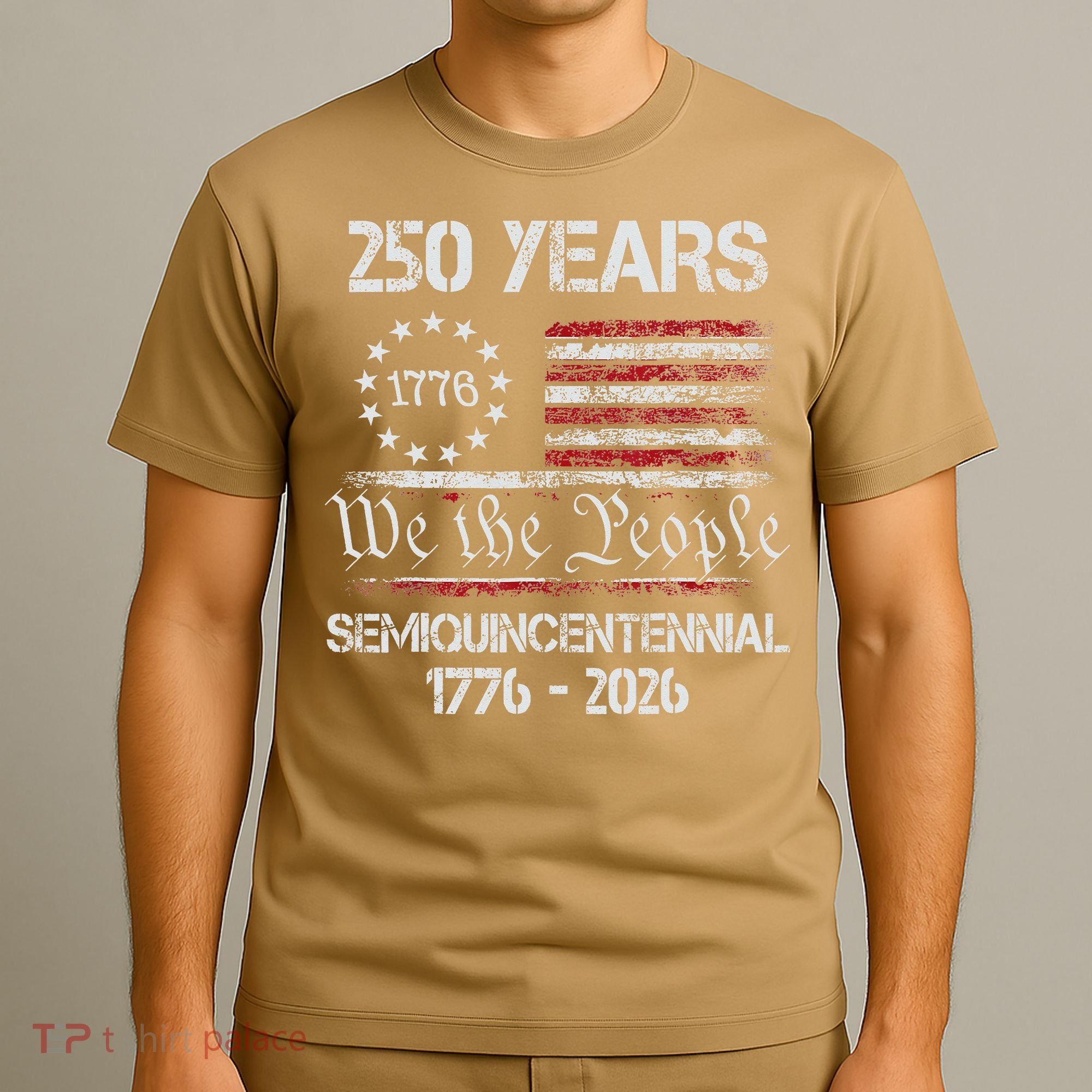 USA Semiquincentennial 250th Anniversary America Celebration Gift T-Shirt