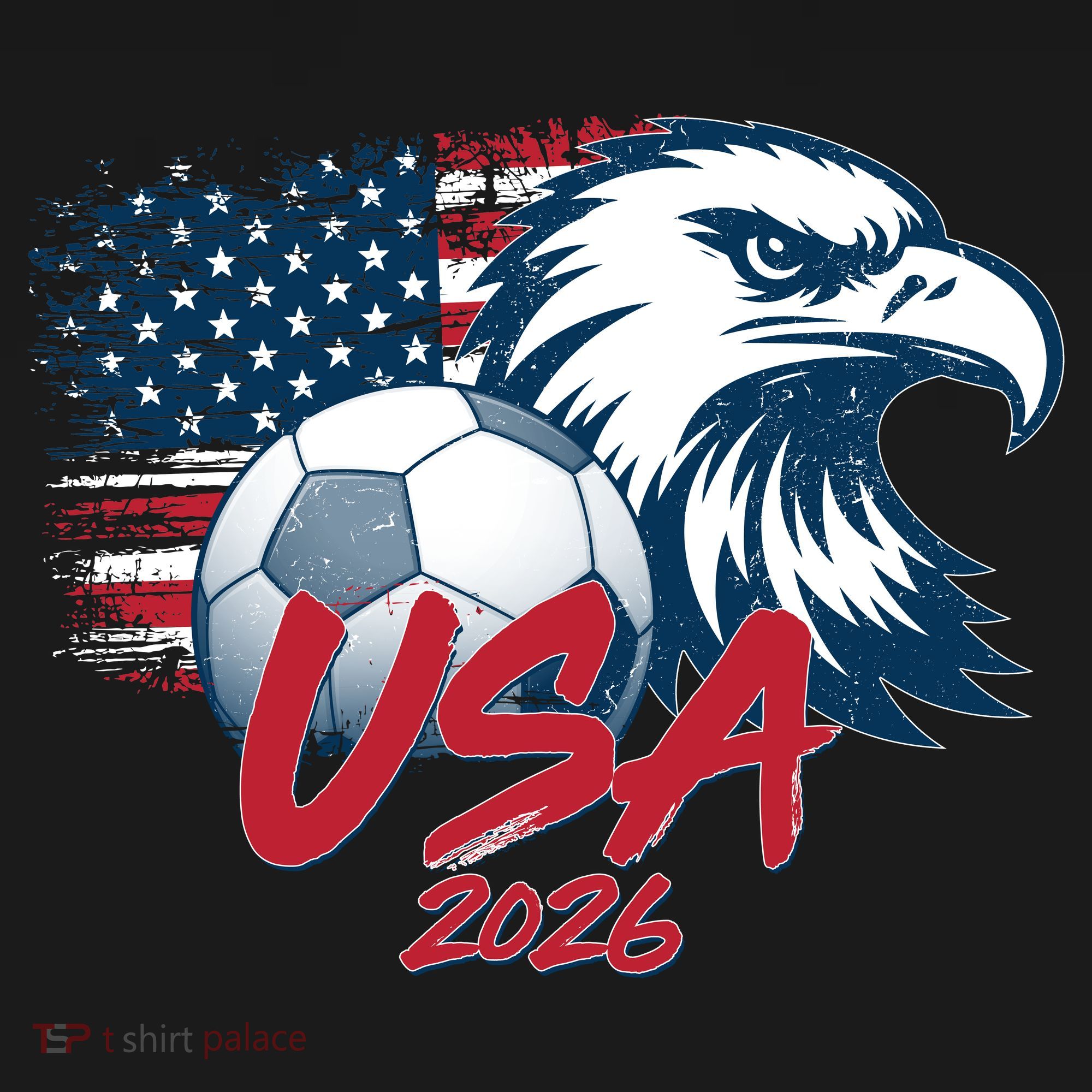 USA Soccer 2026 Eagle And Flag  Women's Hoodie