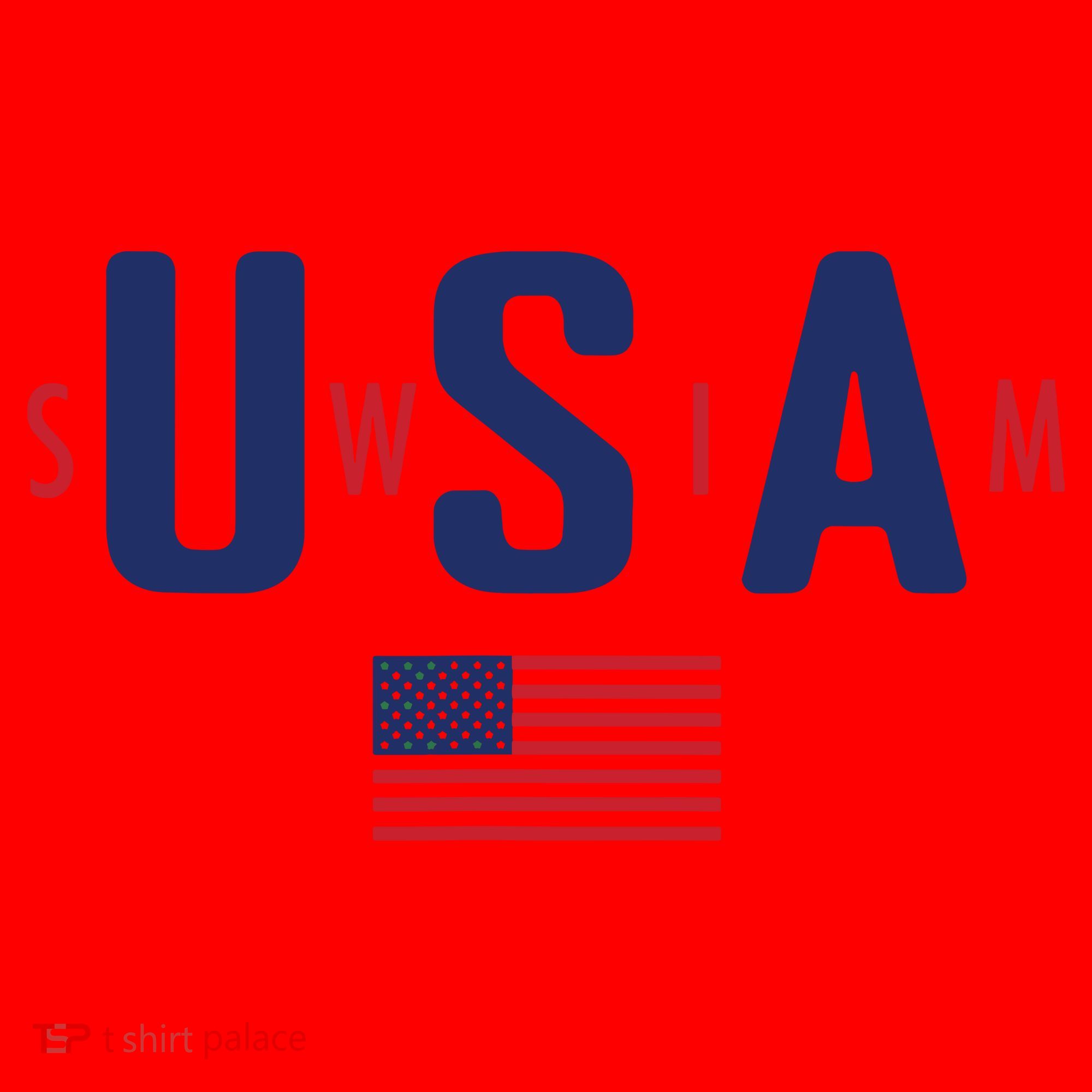 Usa Swim 2024 Santa Hat