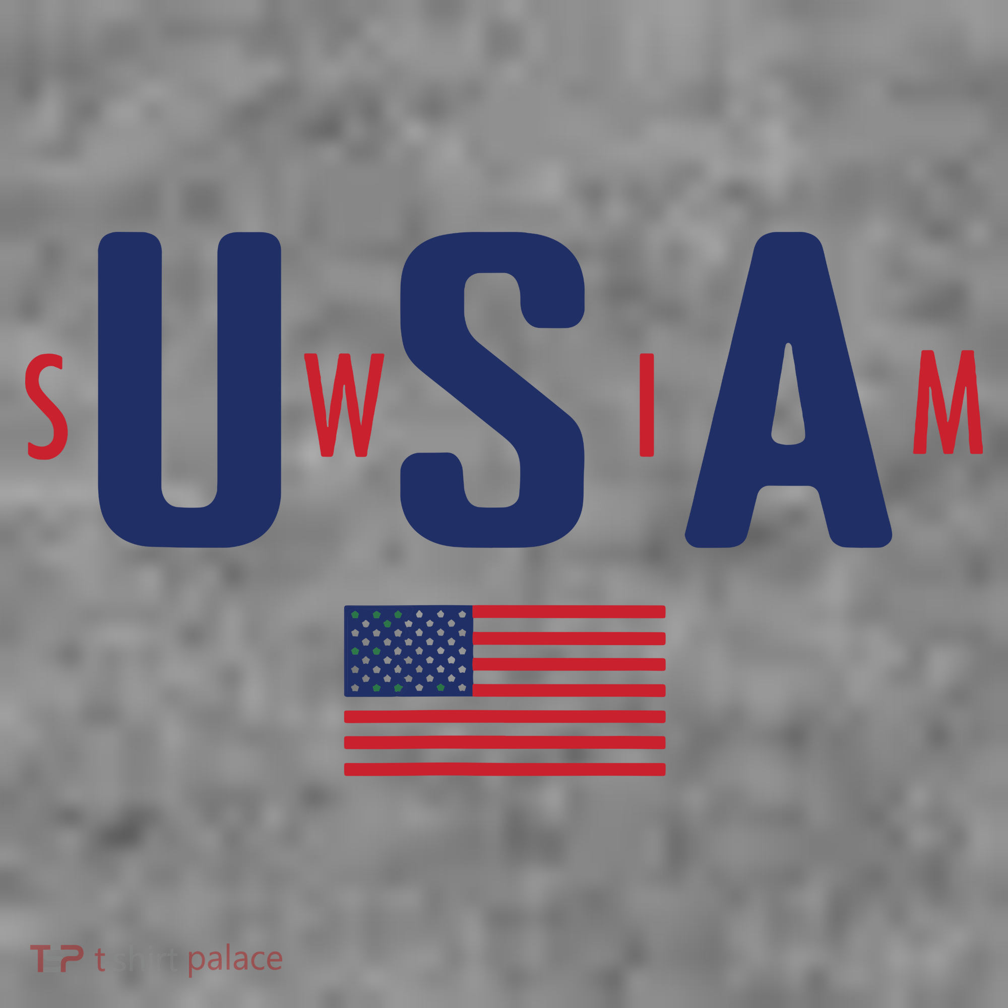 Usa Swim 2024 Toddler Hoodie