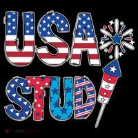 USA Stud 4th Of July Firework Cute Toddler Hoodie thumb 2