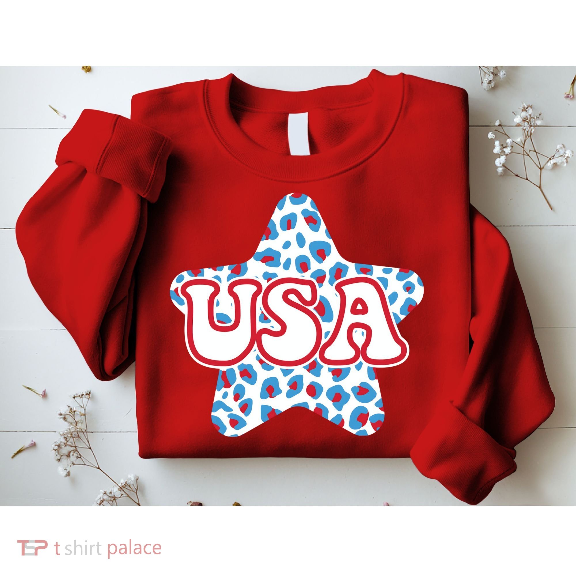 USA Star 4th Of July Festive Holiday Sweatshirt