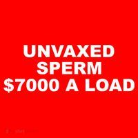 Unvaxed Sperm $7000 A Load Santa Hat thumb 1