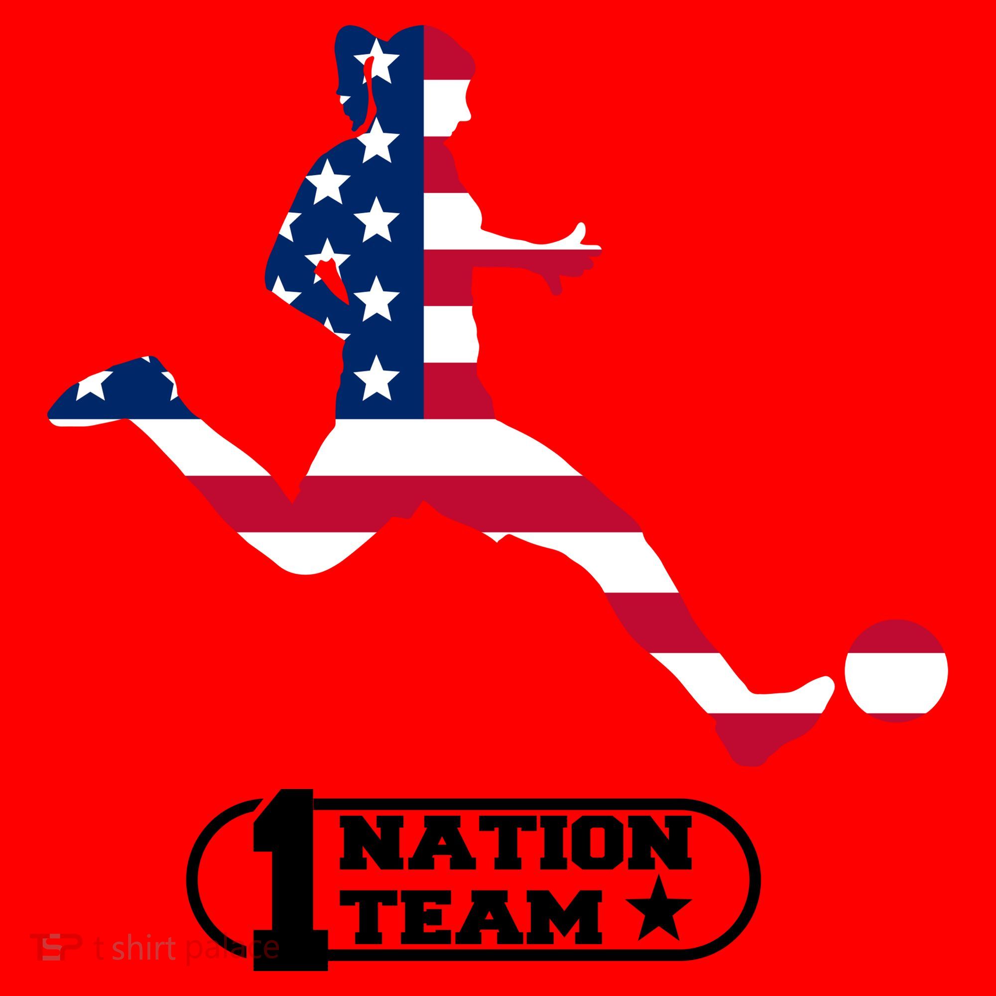 USA 1 Nation Soccer Team Santa Hat