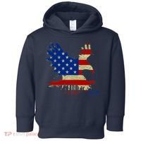 USA Bald Eagle Flag Drip 4th of July Toddler Hoodie thumb 0
