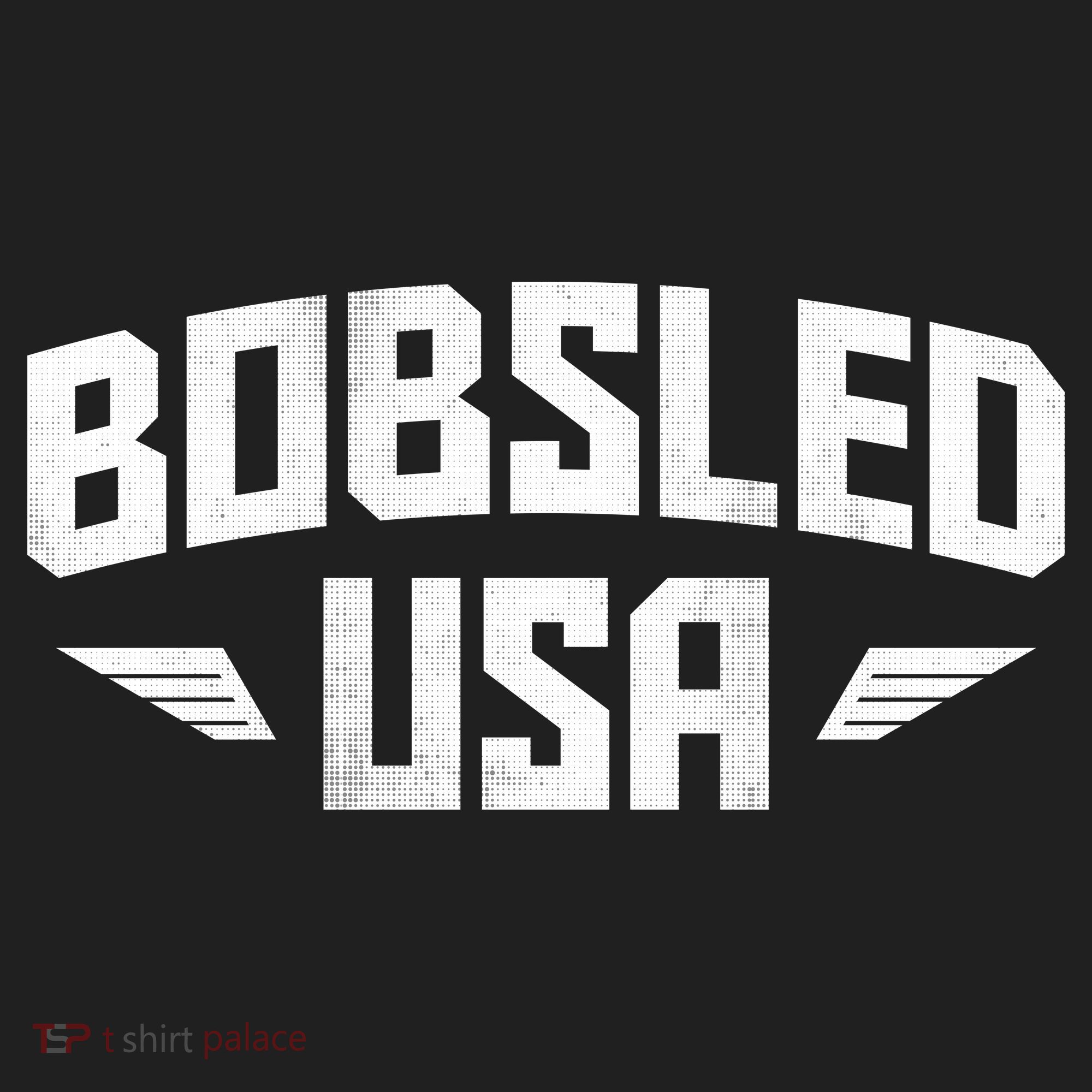 USA Bobsled Team Hat