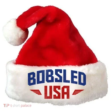 USA Bobsled Team Santa Hat