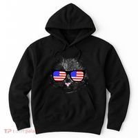 USA Cat Wearing American Flag Glasses Hoodie thumb 0
