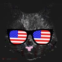 USA Cat Wearing American Flag Glasses Sweatshirt thumb 3