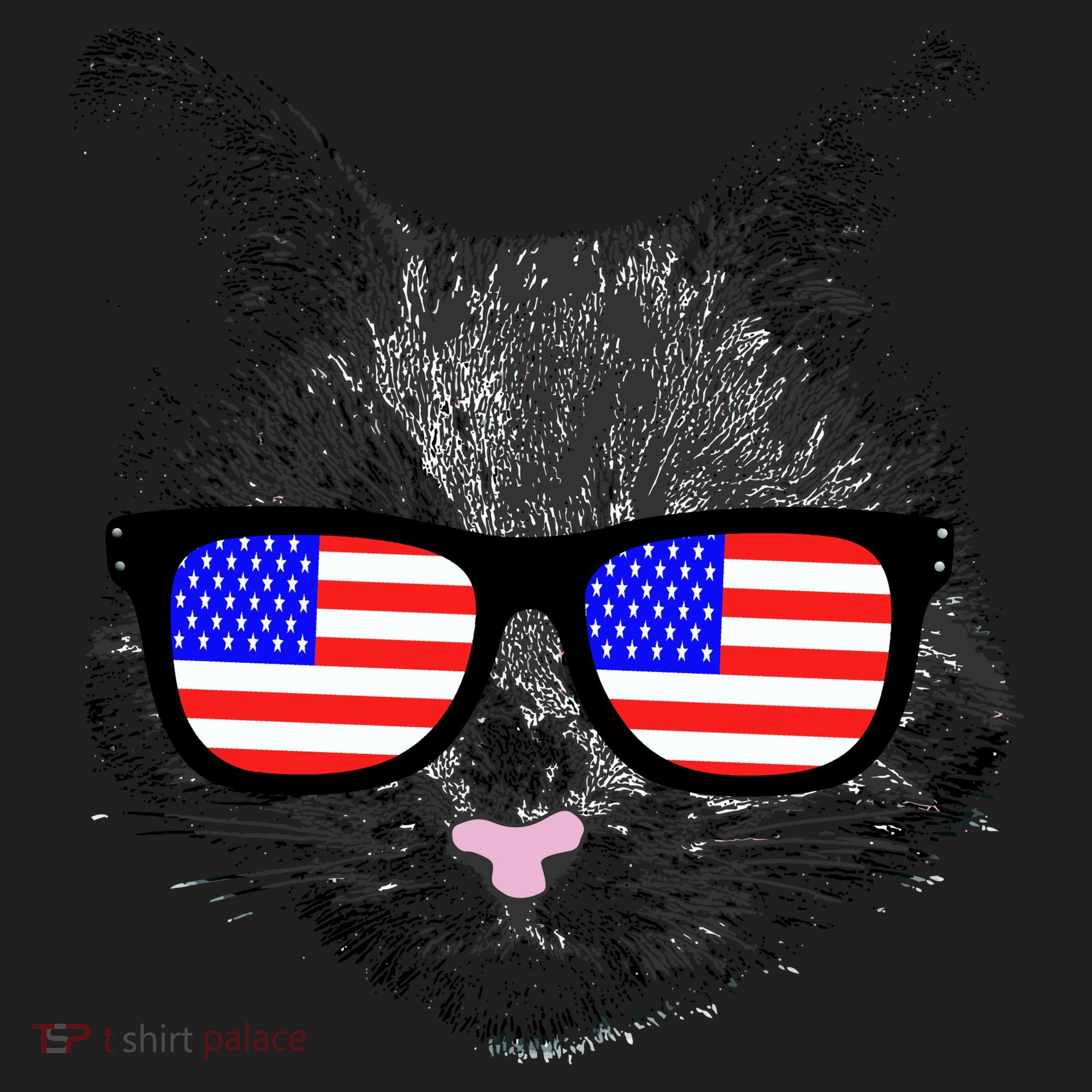 USA Cat Wearing American Flag Glasses Beanie