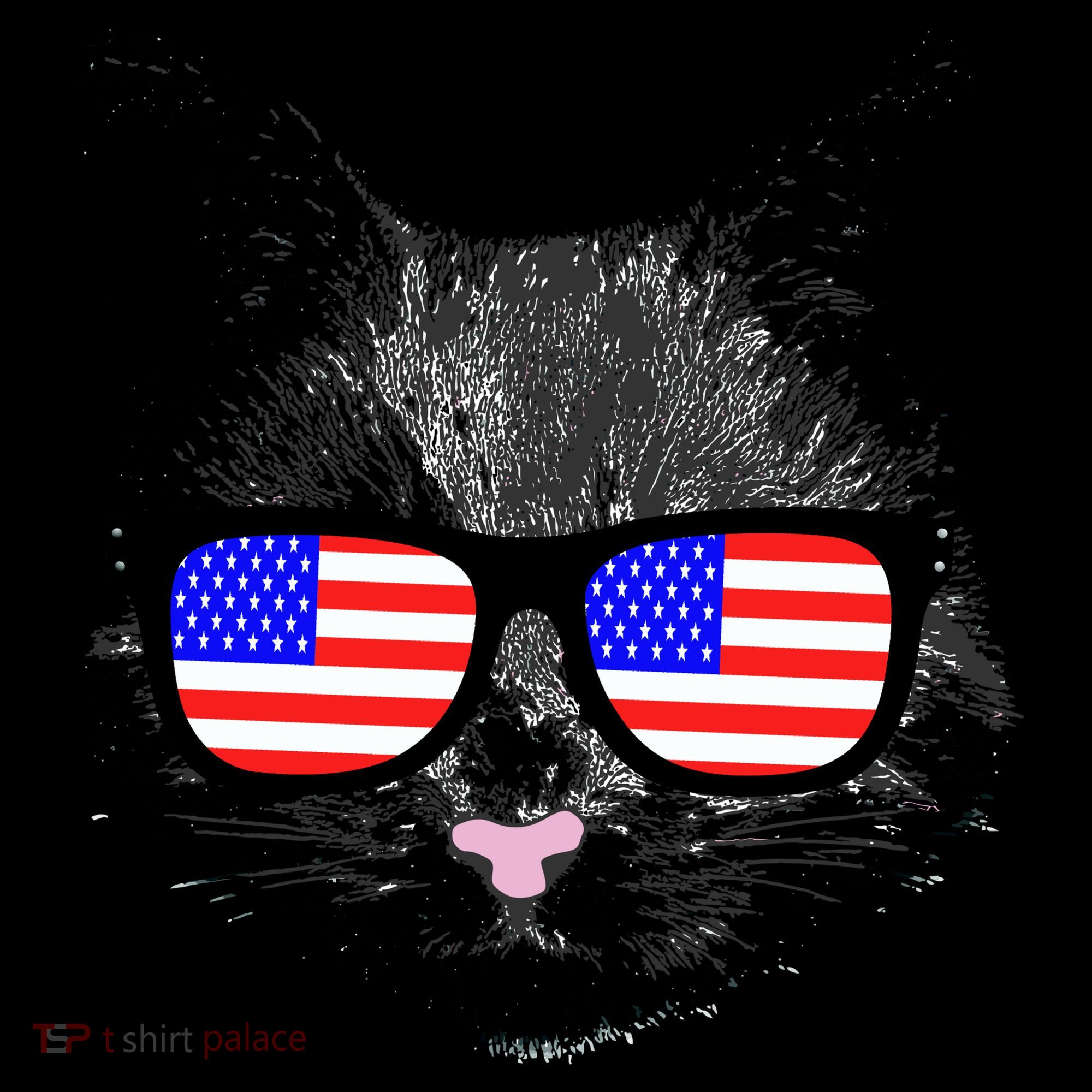 USA Cat Wearing American Flag Glasses Women's Hoodie