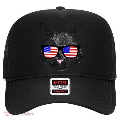 USA Cat Wearing American Flag Glasses Hat