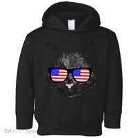 USA Cat Wearing American Flag Glasses Toddler Hoodie thumb 0