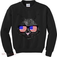 USA Cat Wearing American Flag Glasses Kids Sweatshirt thumb 0