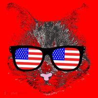 USA Cat Wearing American Flag Glasses Santa Hat thumb 1