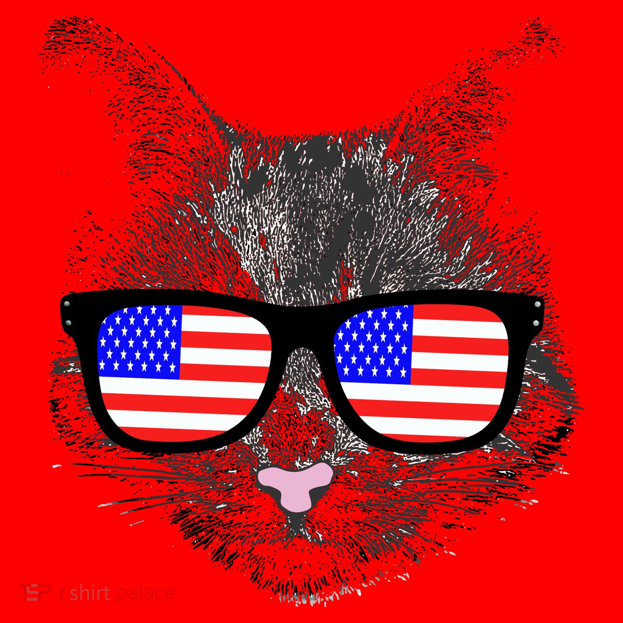 USA Cat Wearing American Flag Glasses Santa Hat