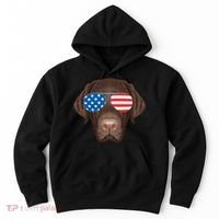 USA Chocolate Lab Dog Hoodie thumb 0
