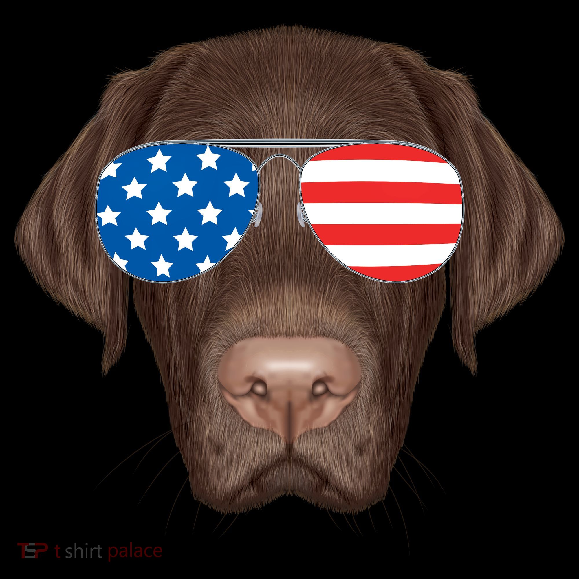 USA Chocolate Lab Dog Bucket Hat