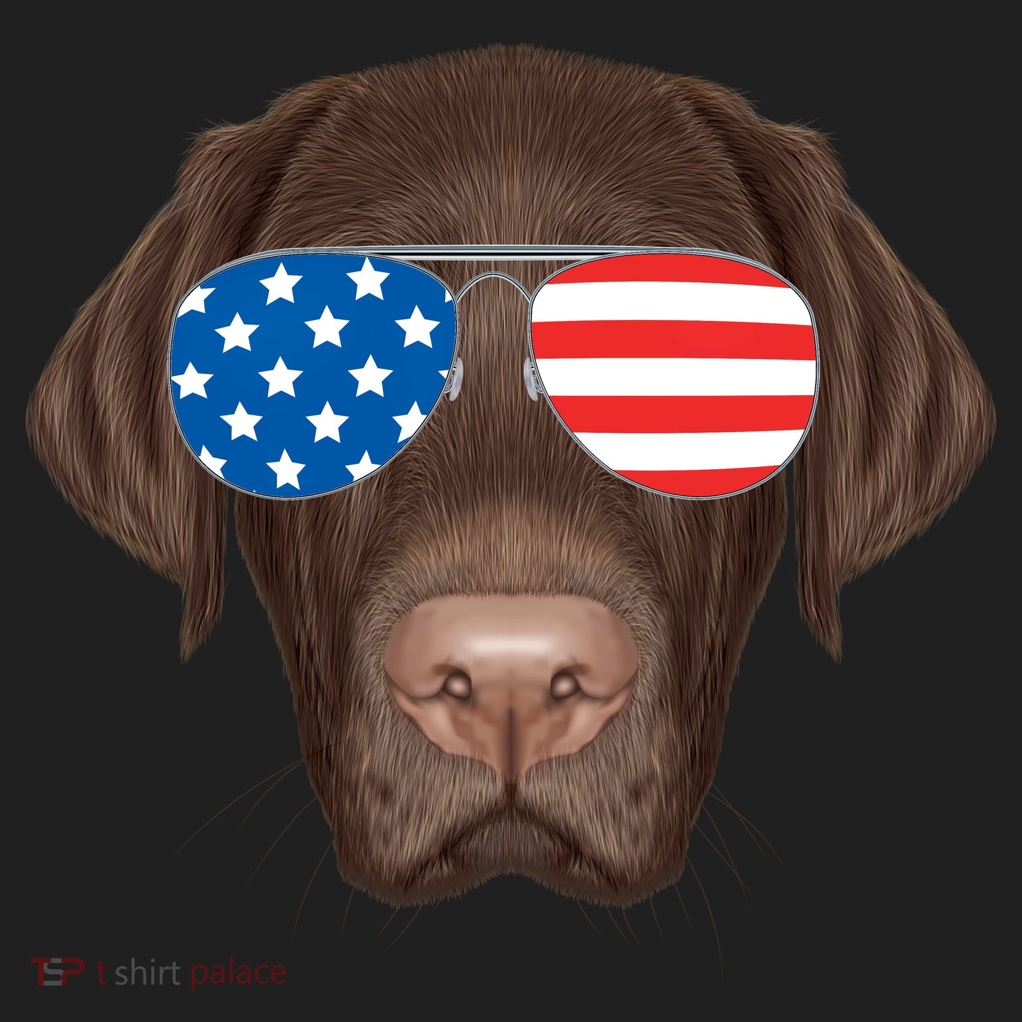 USA Chocolate Lab Dog Hat