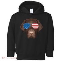 USA Chocolate Lab Dog Toddler Hoodie thumb 0