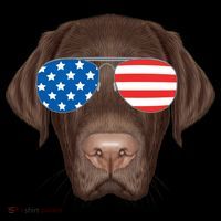 USA Chocolate Lab Dog Women's T-Shirt thumb 6