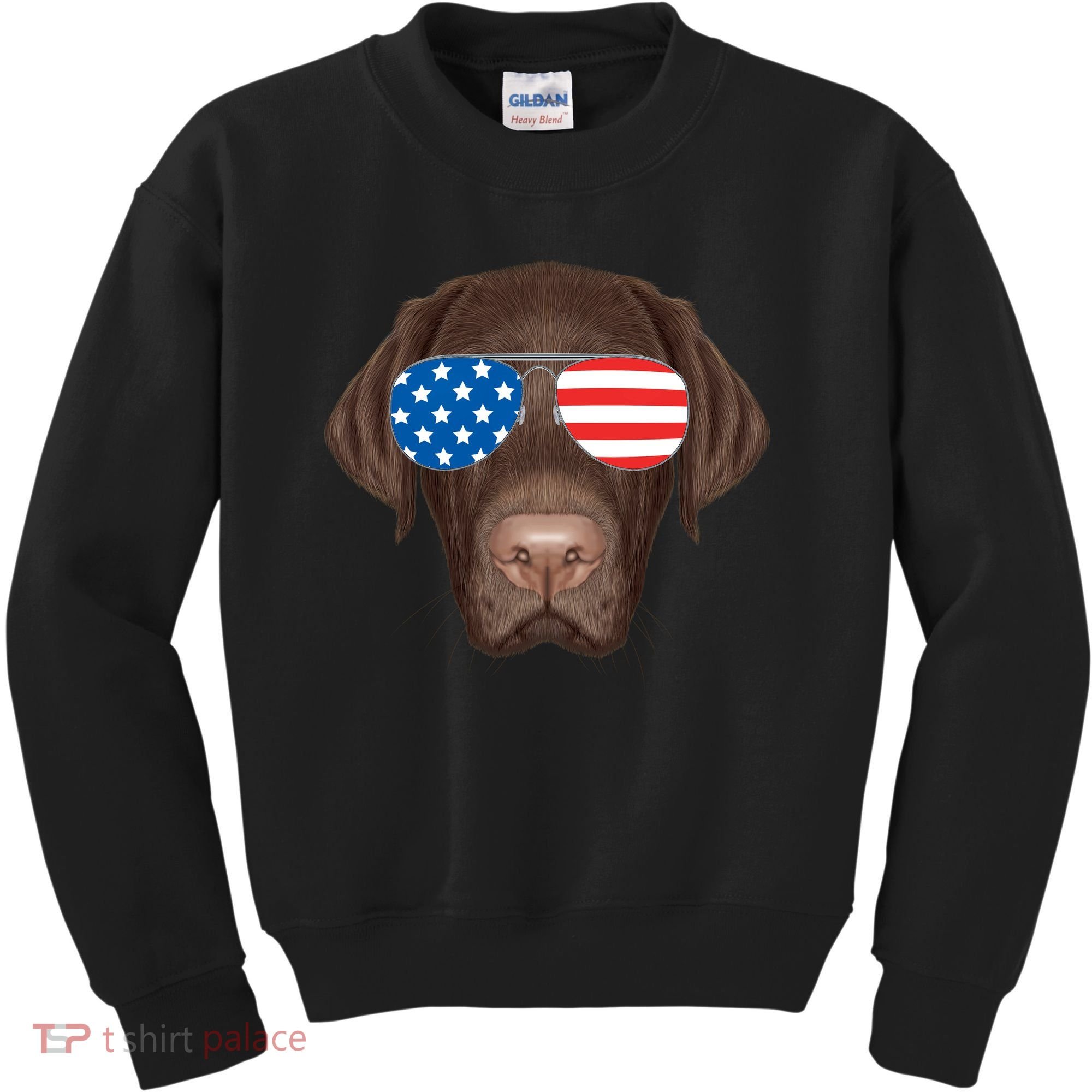 USA Chocolate Lab Dog Kids Sweatshirt