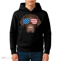 USA Chocolate Lab Dog Kids Hoodie thumb 4