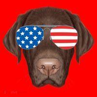 USA Chocolate Lab Dog Santa Hat thumb 1