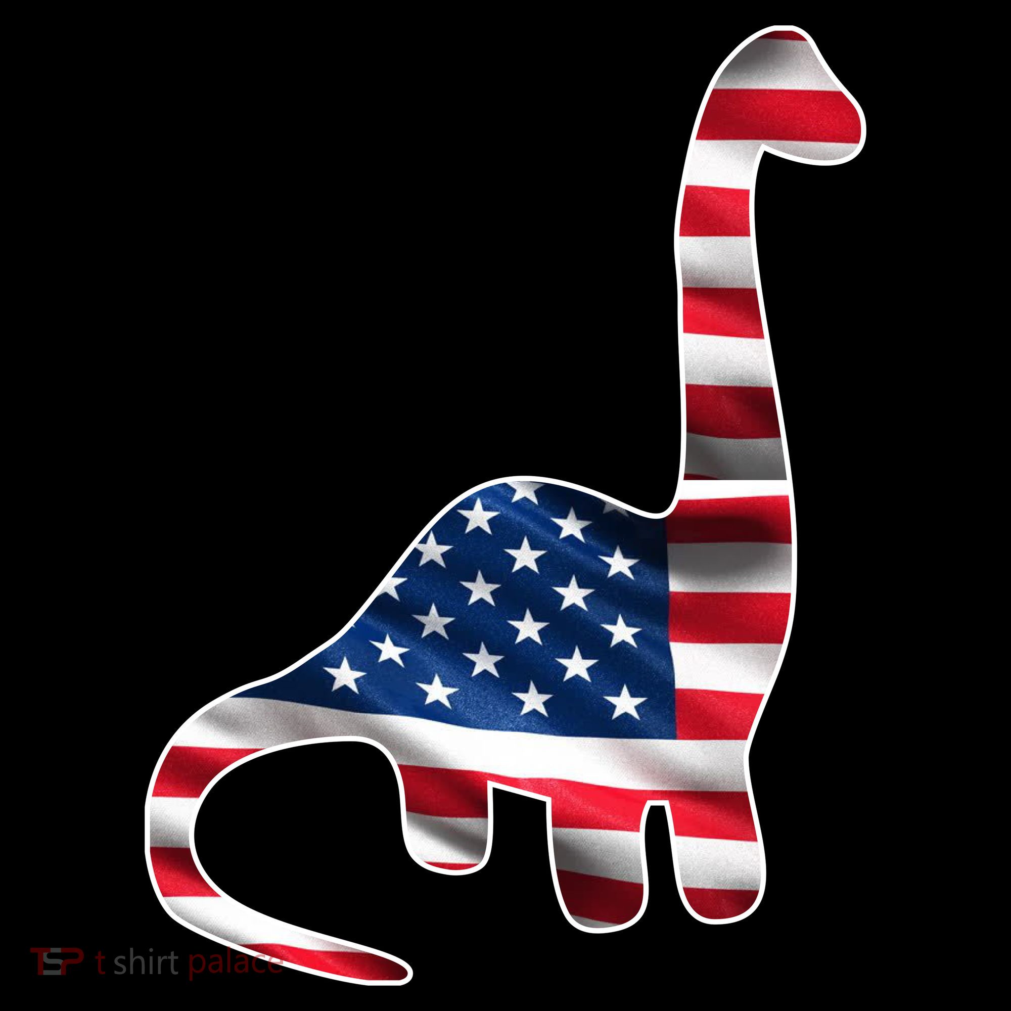 USA Dinosaur American Flag Women's T-Shirt