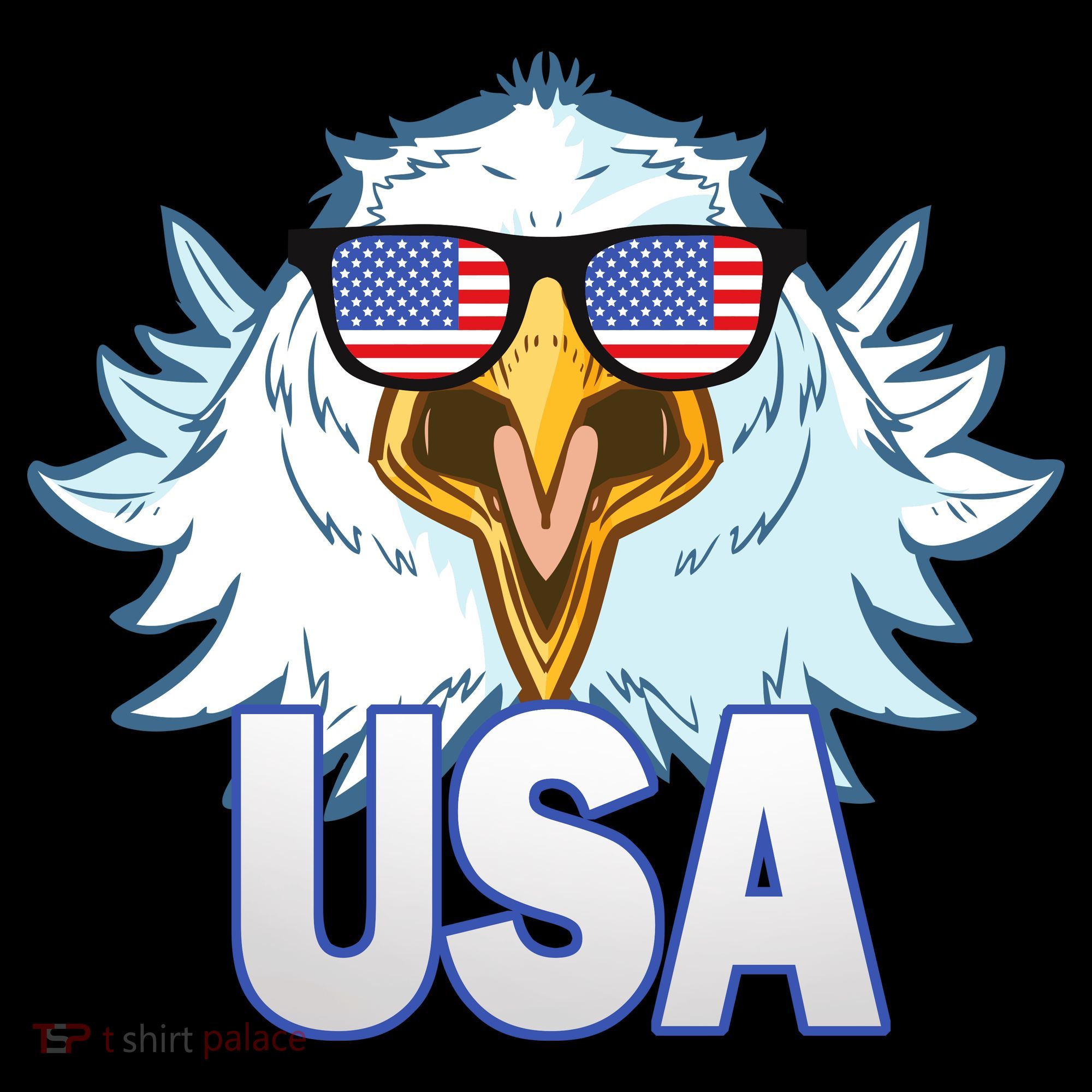 USA Eagle Bucket Hat