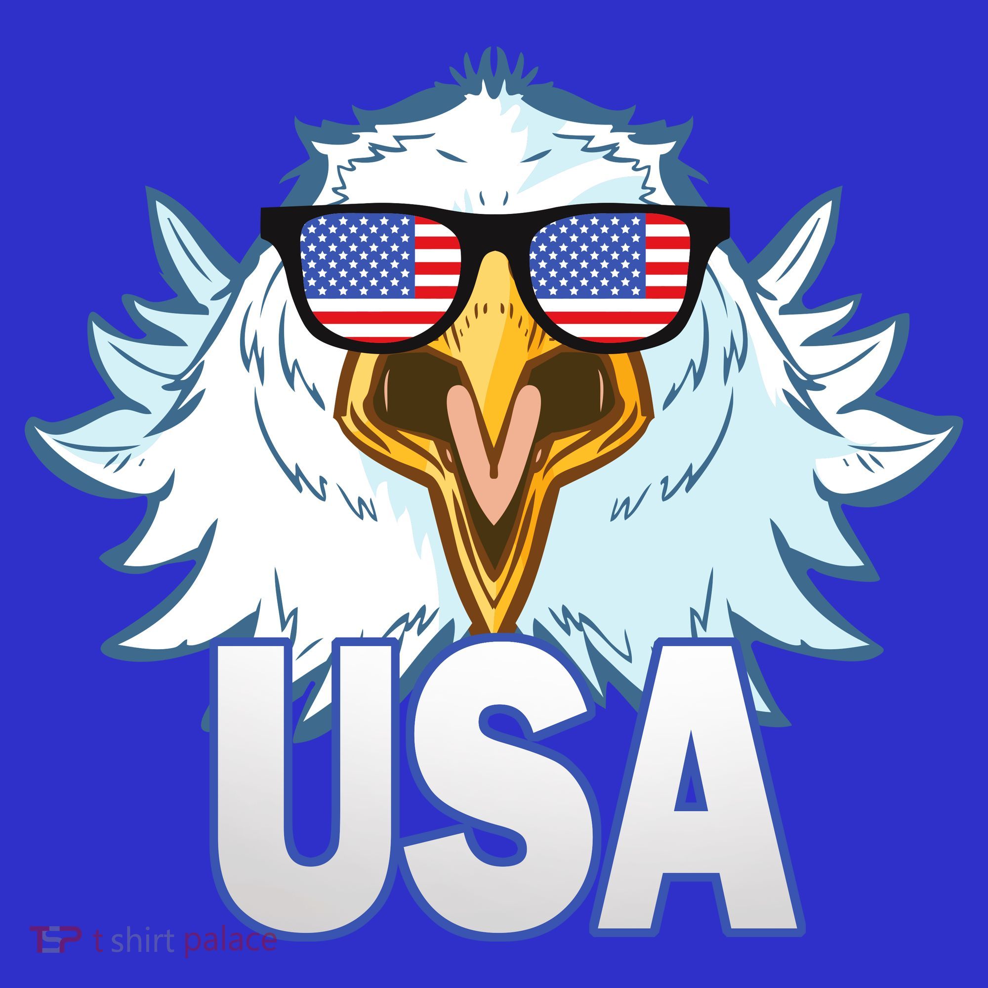 USA Eagle T-Shirt