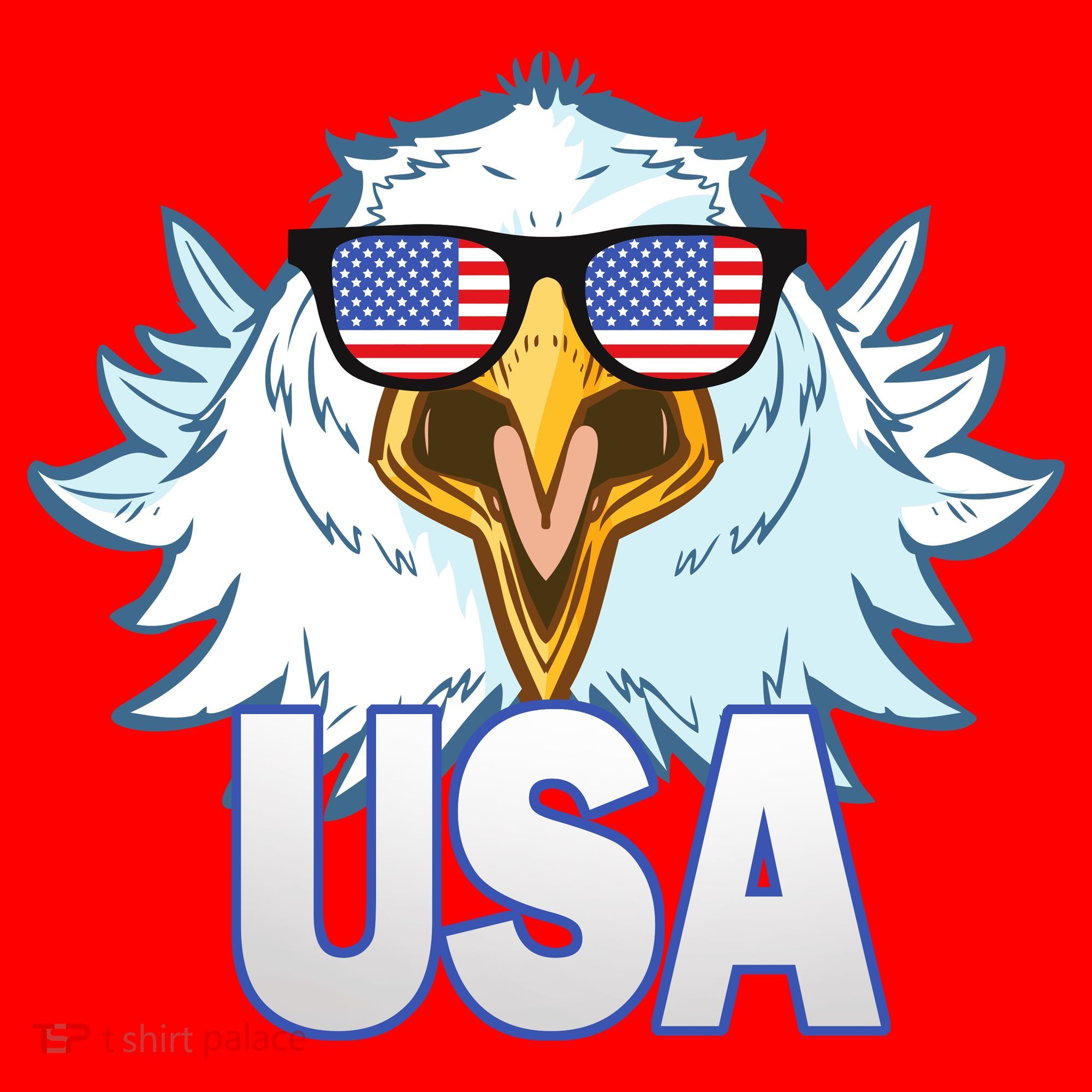 USA Eagle Santa Hat