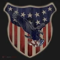 USA Eagle & Shield Ornament thumb 1
